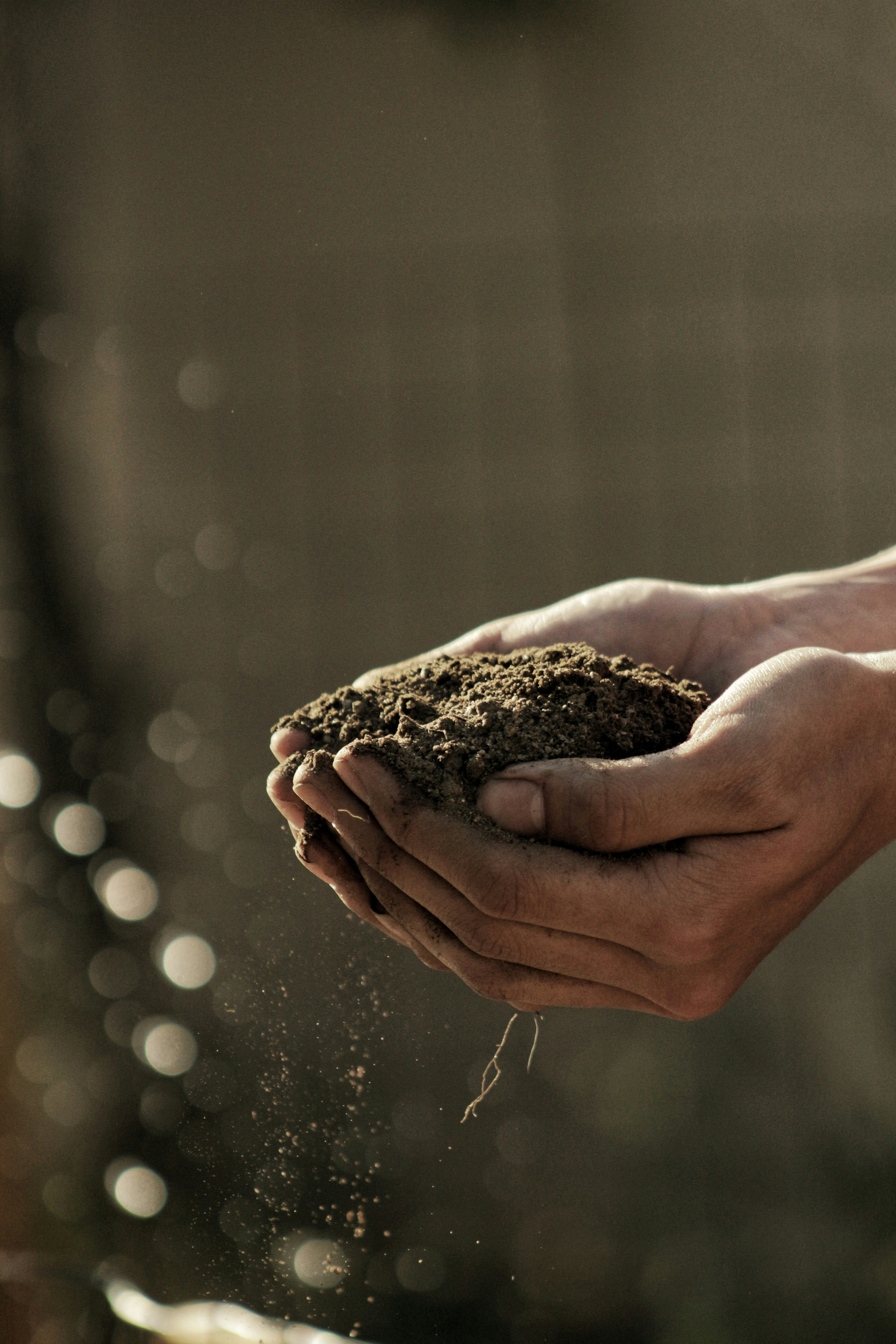 Speaking the same soil language: why standards matter 