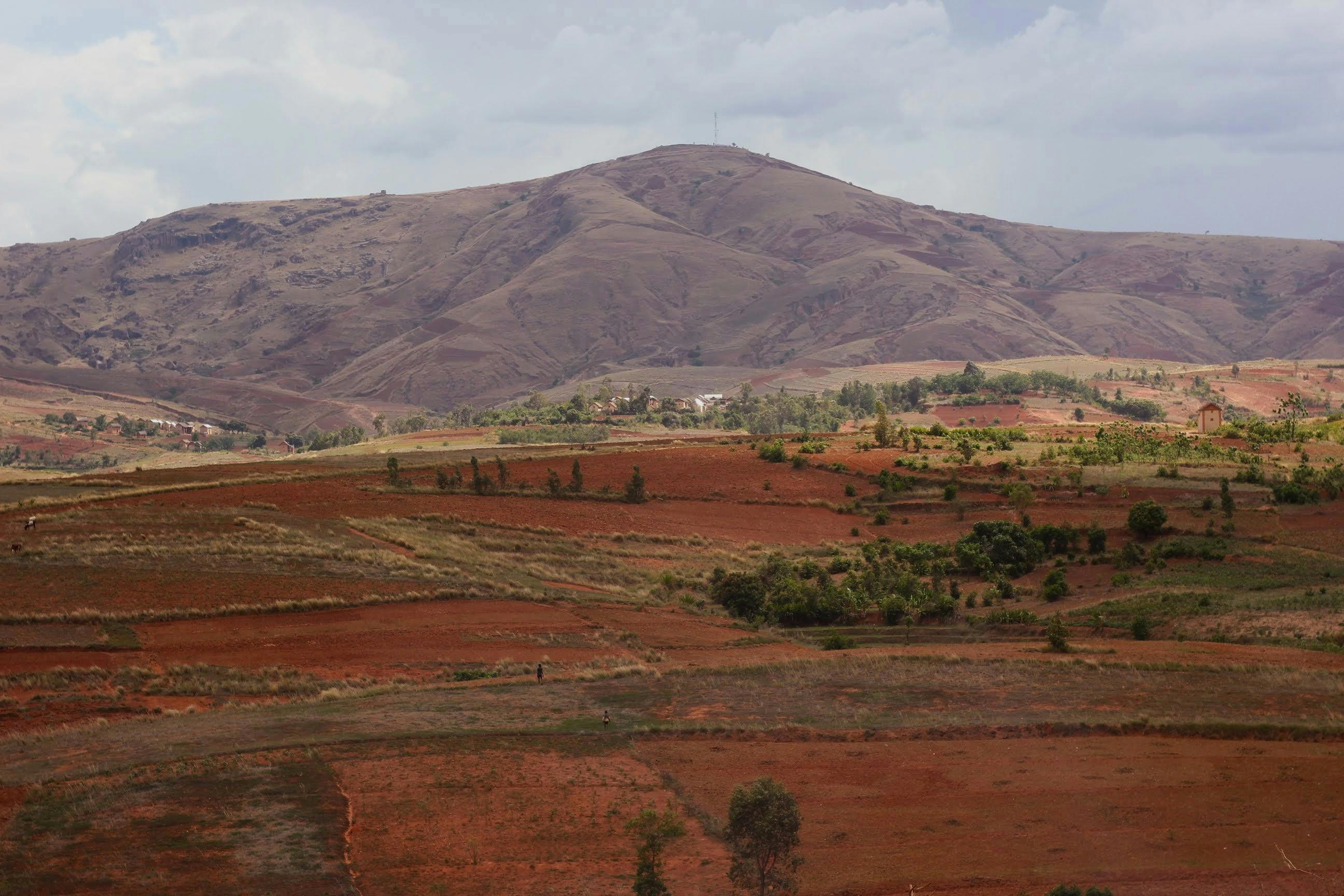Soils4Africa makes 11,000 soil data points from 21 African countries available 