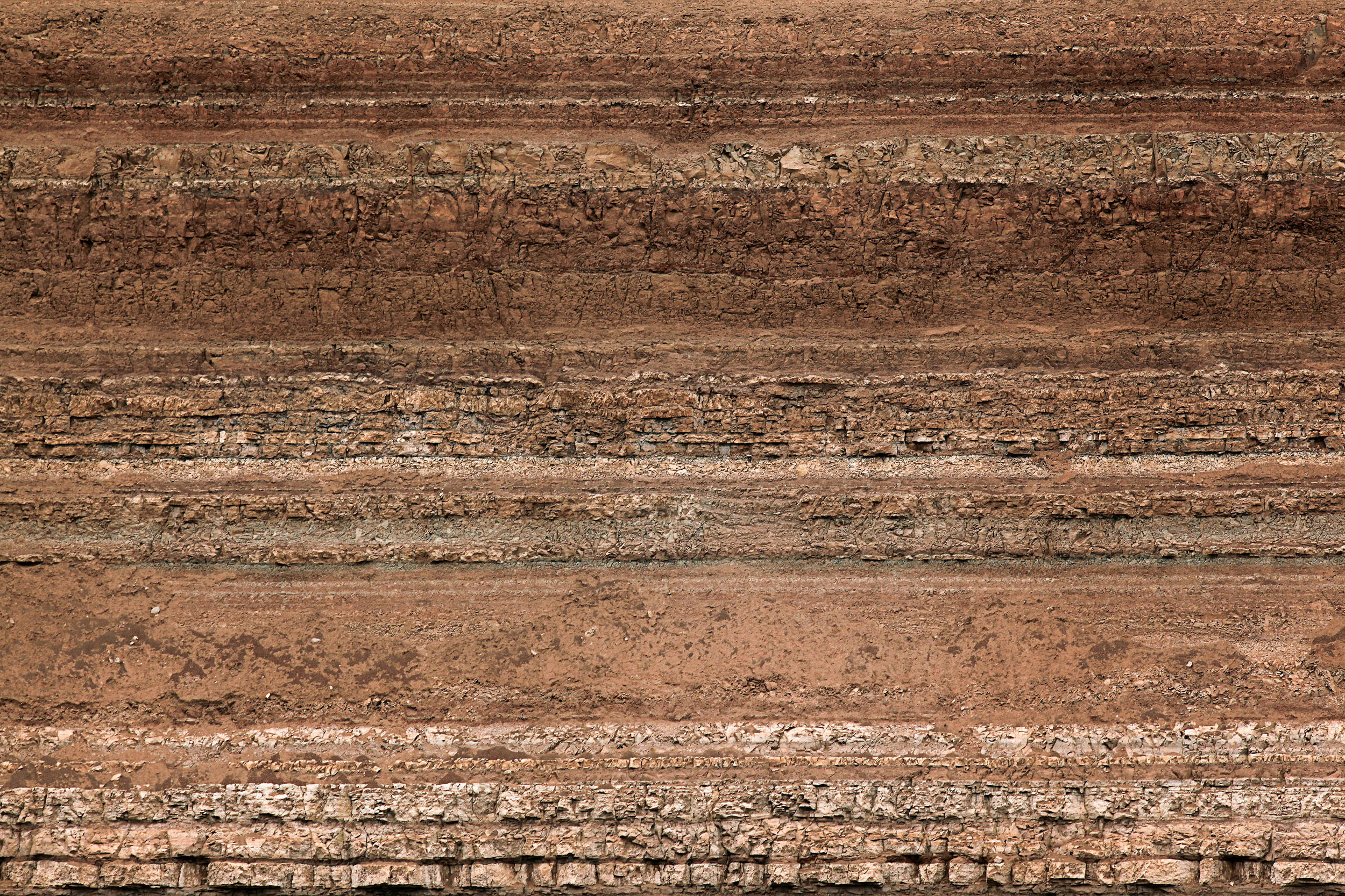 "Unseen: the World of Soil" opens at the World Soil Museum