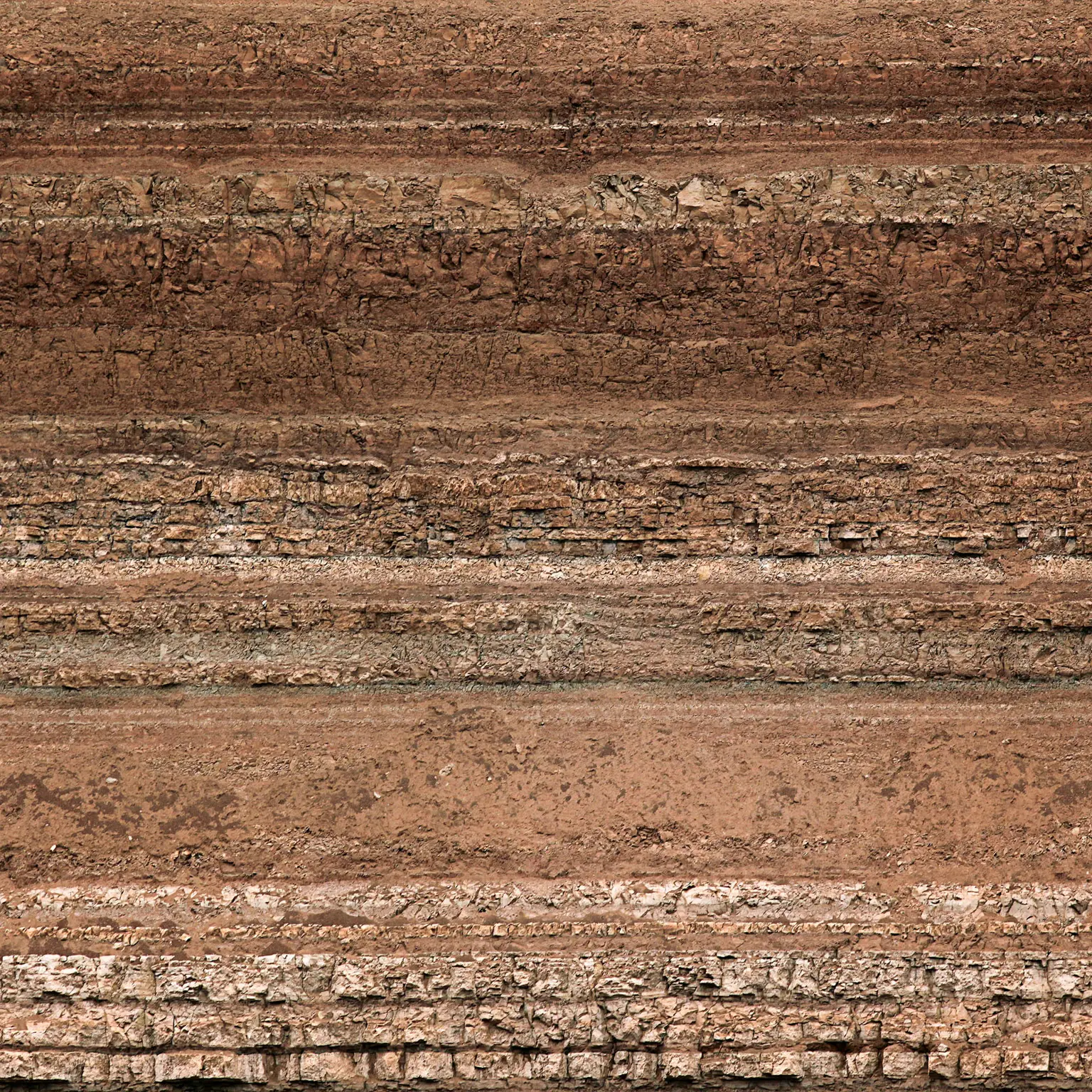 "Unseen: the World of Soil" opens at the World Soil Museum
