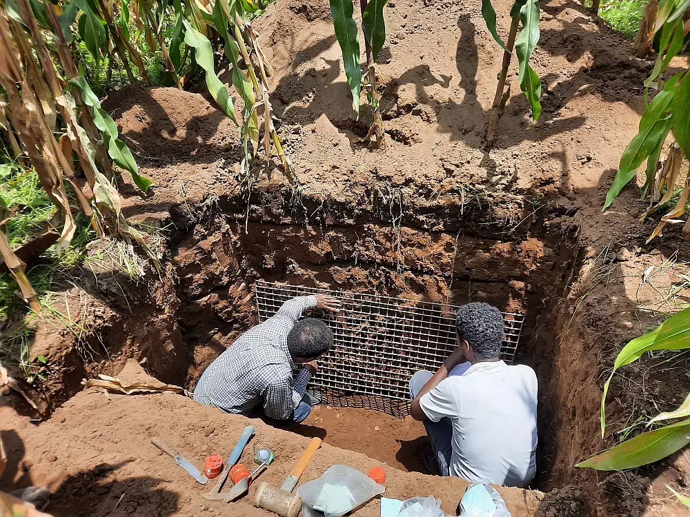 A new open-access soil profile dataset from central Ethiopia
